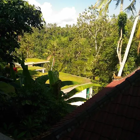 Punia'S Jungle Hotel