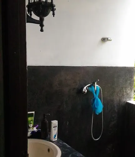 Guest house Punia's Jungle