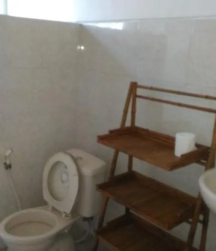 Guest house Punia's Jungle *