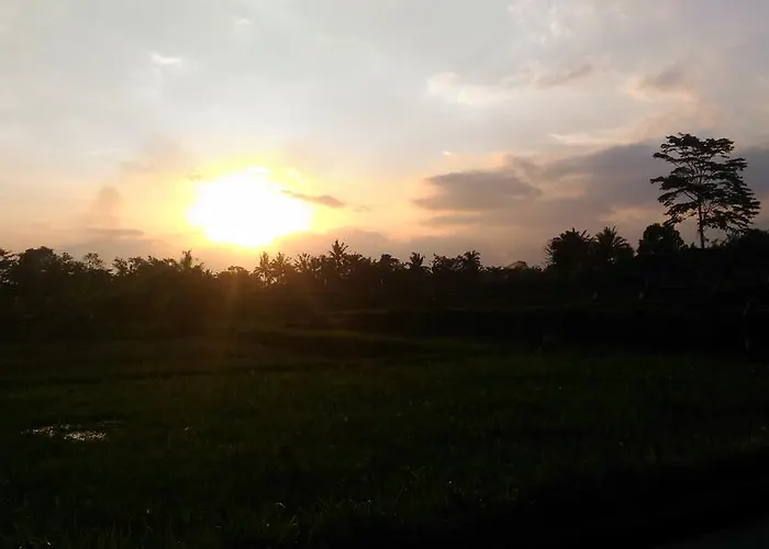 Punia's Jungle Guest house Ubud (Bali)