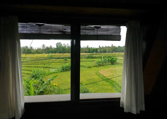 Punia's Jungle * Ubud (Bali)