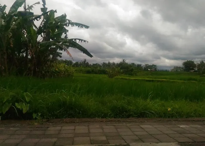 Guest house Punia's Jungle